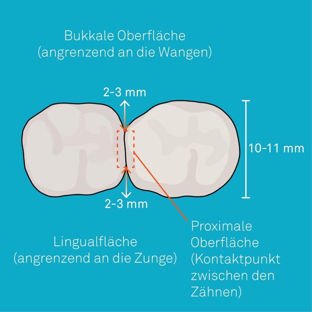 Why a hydrodynamic sonic toothbrush is the best choice