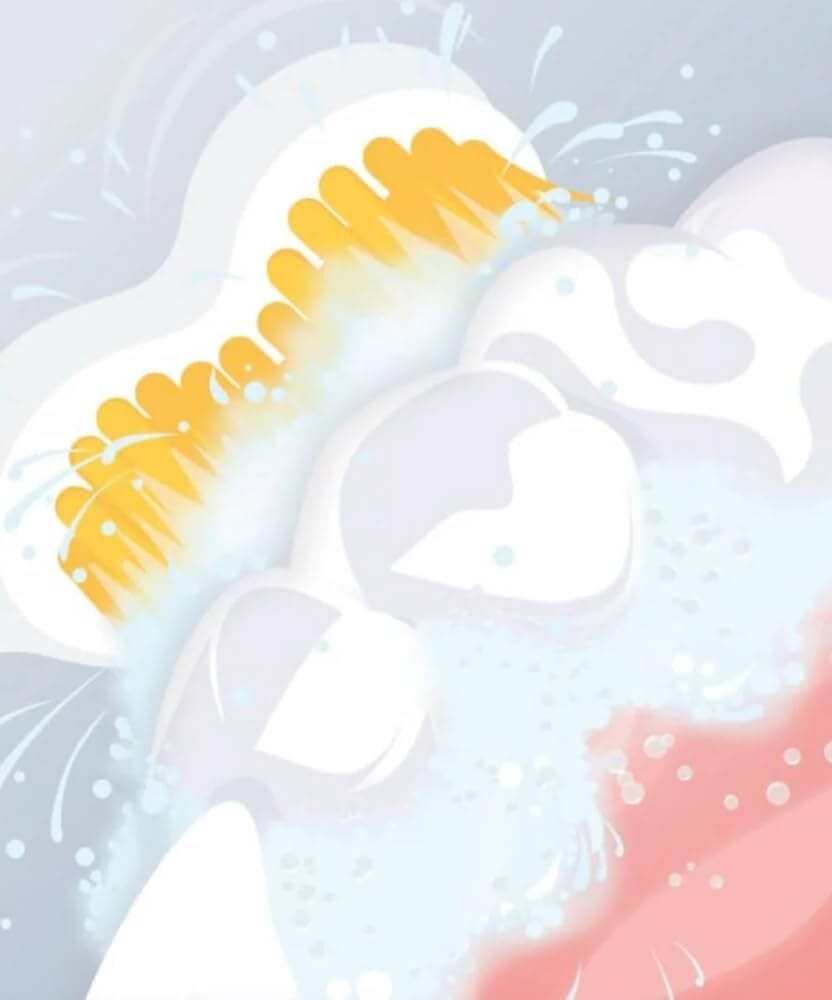 Why a hydrodynamic sonic toothbrush is the best choice