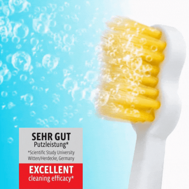 Why a hydrodynamic sonic toothbrush is the best choice